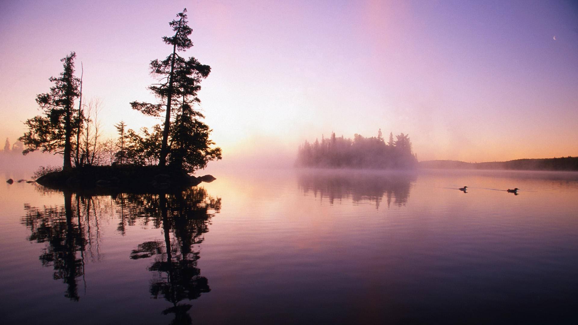 Red Lake landscape from the company's existing website